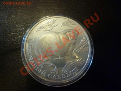 ДК Россия Серебро Слепыш 1 рубль 1996 20.06 - P1040356_thumb