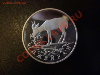 ДК Россия Серебро Джейран 1 рубль 1997 20.06 - P1040358_thumb