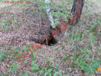только с копа - IMG_3272.JPG