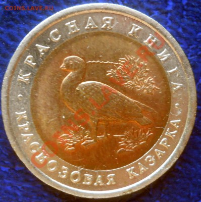 Красная книга 1992 Казарка до 19,06,2013  22-00 - DSCN8502
