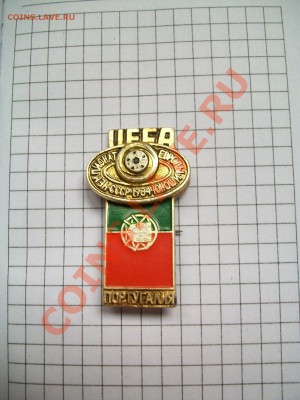 Значок Чемпионат Европы по футболу, 19.06.13  23-00 - 102_2961.JPG
