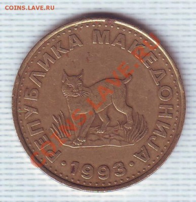 Македония.5 Динаров.1993.Рысь.до 24 Июня - 19930013.JPG
