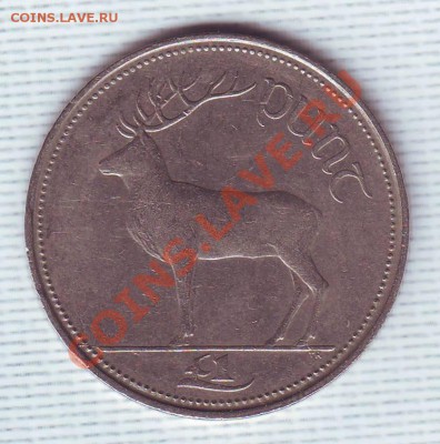 Ирландия.Фунт.1996.Олень.до 24 июня - 19960015.JPG