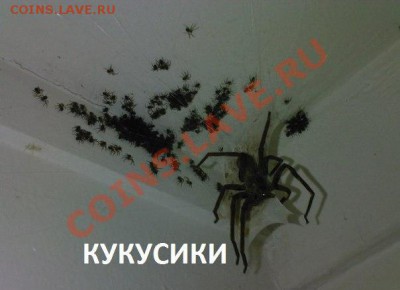 юмор - 6ef593kepTw