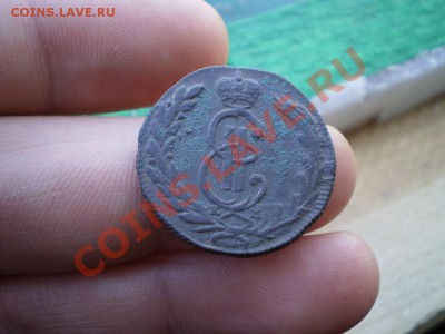 копейка Сибирь 1772  до 23.06. 21.00 МСК - P5030679.JPG