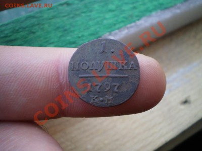 полушка П-1 1797 КМ .до 23.06.до 21.00 МСК - P5030704.JPG