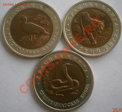 КК-1992; Остерман-Толстой мешковой - P6200850.JPG