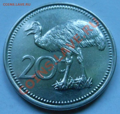 Новая Гвинэя 20тоэа 2009г! - DSCN1895