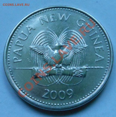 Новая Гвинэя 20тоэа 2009г! - DSCN1896