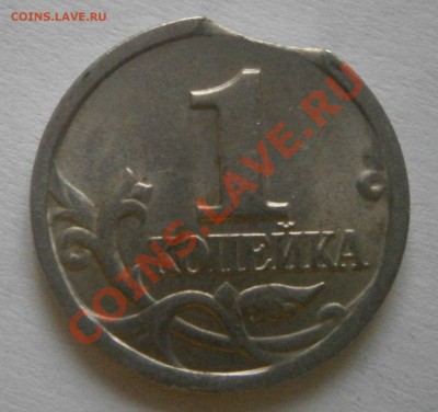 Копеечка с выкусом - P4130500.JPG