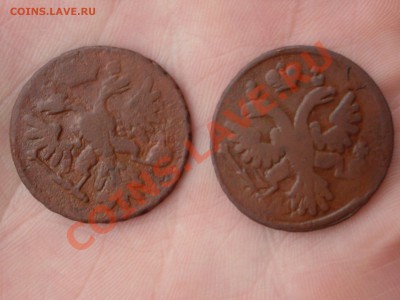 Денга 1750 - SDC11887.JPG