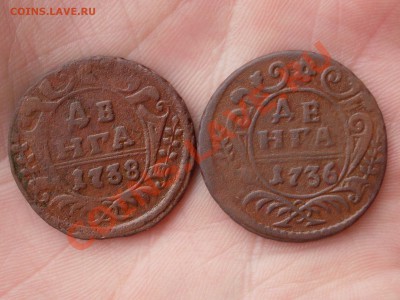 Денга 1750 - SDC11889.JPG