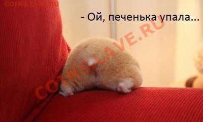 юмор - OFCT_7gI5cQ