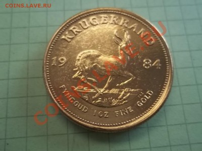 крюгерранд 1984 юар - 000_0022.JPG