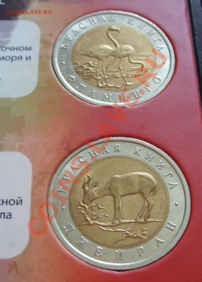 Полный комплект монет "Красная книга" + альбом (от 14250) - 5.JPG
