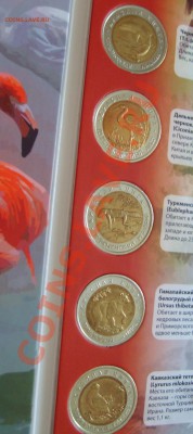 Полный комплект монет "Красная книга" + альбом (от 14250) - 4.JPG