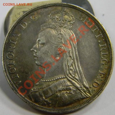 Крона Британия 1890г. Хорошая - DSCN5562_thumb
