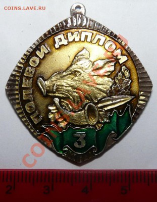 Знак полевой диплом 3(собачий) - P1100333.JPG