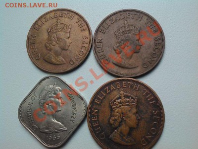 Монеты Гернси. - IMG_20110104_082201