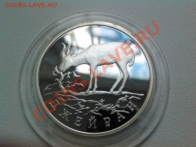 Монета 1 рубль, 1997г., Джейран. серебро. 15,5гр. - IMG_20110104_082308