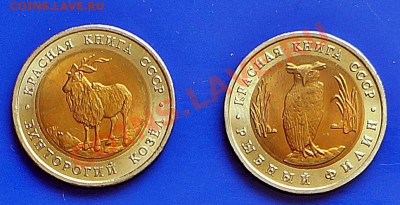 2 монеты КК 1991 г. Рыбный филин и винторогий козел - КК_1991_1.2_1.JPG