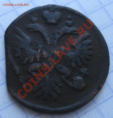деньга 1735г - Денга 1735_2