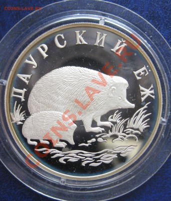 Один рубль 1999г. Даурский Ёж, СЕРЕБРО С НОМИНАЛА - IMG_0016.JPG
