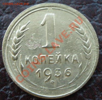 1 копеечники - P6260229.JPG