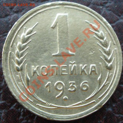 1 копеечники - P6260231.JPG