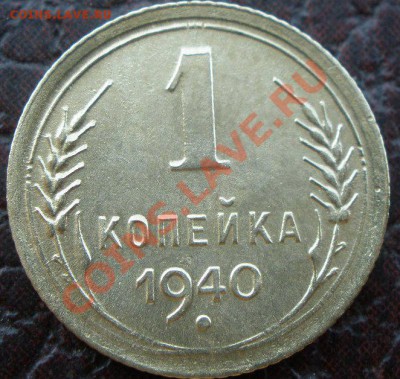 1 копеечники - P6260235.JPG