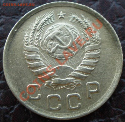 1 копеечники - P6260236.JPG