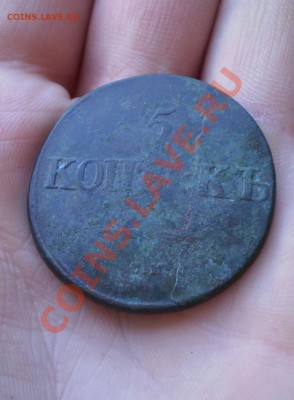 5 коп 1832 СМ до 29.06 22.00 мск - P5100749.JPG