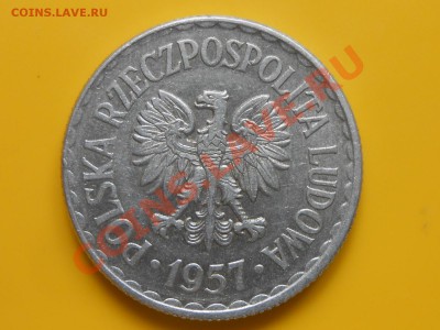 1 Злотый 1957 год на оценку - RSCN3912[1].JPG