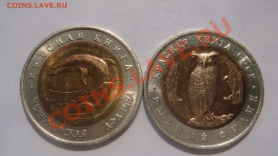 2 монеты КК+бонус до 4.07.13 - DSC04556.JPG