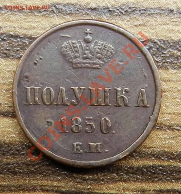 полушка - 1850  ем - - не из земли   ( до 02.07.2013) - DSCN9332