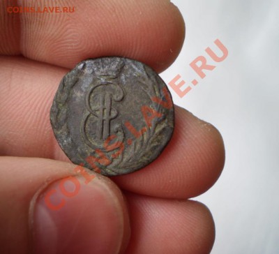 денга Сибирь 1771 до 7.07 22.00 МСК - P5150801.JPG