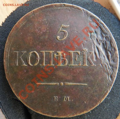 5 копеек - 1831 ем фх ( кабинетная патина)  до 04.07.2013 - DSCN8897