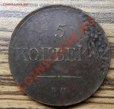 5 копеек - 1831 ем фх ( кабинетная патина)  до 04.07.2013 - DSCN9280