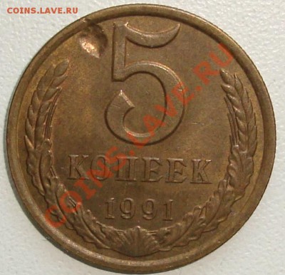 ЗАСОРЕНИЕ - 5 копеек 1991 л - 1.JPG