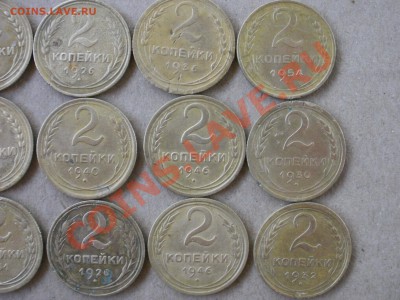 Находки 2013г(помощь в определение разновидностей) - P7013521.JPG