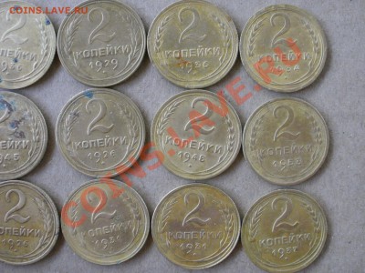 Находки 2013г(помощь в определение разновидностей) - P7013527.JPG