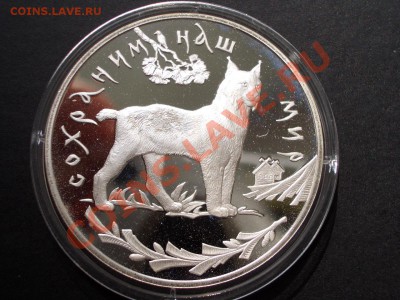 3 рубля 1995г.-Сохраним наш мир -Рысь-08.07.13-22.00 Мск. - CIMG0482.JPG