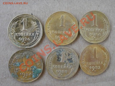 Находки 2013г(помощь в определение разновидностей) - P7013531.JPG