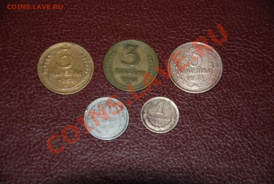 Лот Советов за 100 руб. до 07.07.13 г. - DSC_9723.JPG