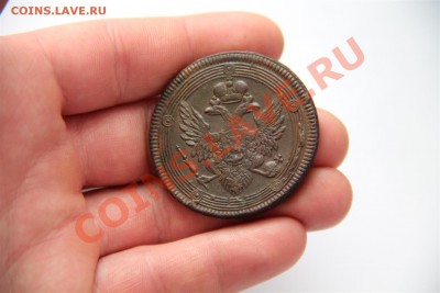 >->->КОЛЬЦЕВЫЕ ПЯТАКИ<-<-< - IMG_8149 (Large).JPG