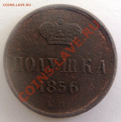 полушка1856 ЕМ до 9.07.13 в 23-00мск - DSC08563.JPG