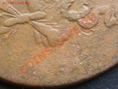 1 коп. 1831см,2 коп 1834СМ до 10.07 в 22-00 - IMGP0166.JPG