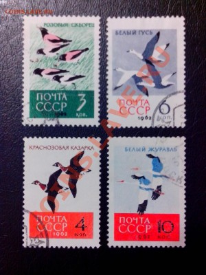  на оценку - IMG_20130705_210626 (2)