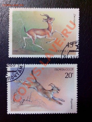  на оценку - IMG_20130705_210906 (2)