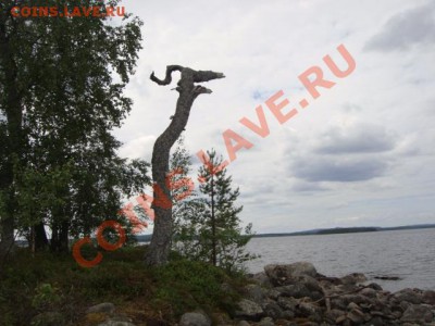 ФОТО - просто фото. Те что получились удачными. - DSC05605.JPG